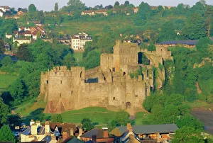 Hill Side Prints: Chepstow Castle