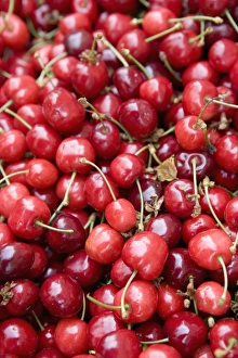 Images Dated 31st January 2000: Cherries, market, Old Town, Prague, Czech Republic, Europe