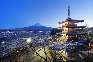 Eaves Prints: Cherry blossom at Chureito Pagoda in Arakurayama Sengen Park, and Mount Fuji, 3776m