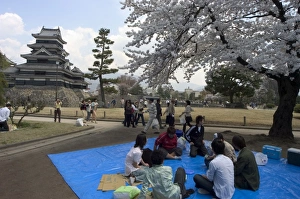 Nagano Prints: Cherry blossom viewing