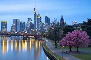 Business District Prints: Cherry tree in bloom on banks of River Main with skyline of business district in the background at dusk