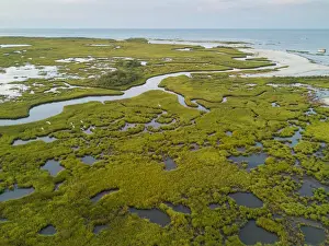 Virginia Prints: Chesapeake Bay saltmarsh and winding creeks of the Plumtree National Wildlife Refuge