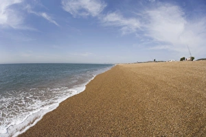 Images Dated 10th September 2005: Chesil Beach, Dorset, England, United Kingdom, Europe