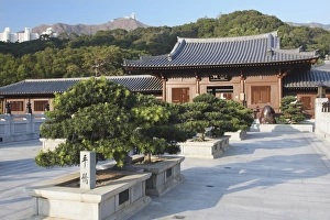 Images Dated 17th January 2009: Chi Lin Nunnery, Diamond Hill, Kowloon, Hong Kong, China, Asia