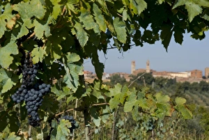 Chianciano Terme