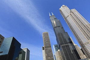 Tall Prints: Chicago skyscrapers including the Willis Tower