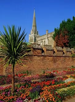 West Sussex Collection: Chichester Cathedral and gardens, Chichester, West Sussex, England, UK, Europe
