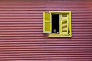 Images Dated 13th February 2009: Child at a window, La Boca, Buenos Aires, Argentina, South America