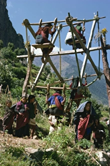 Tee Nager Prints: Childrens swing or gurung in Modi Khola