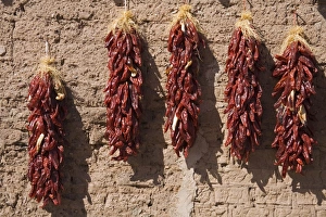 Chili peppers on adobe wall, Tubac, Greater Tucson Region, Arizona Chili peppers on adobe wall, Tubac, Greater Tucson Region, Arizona