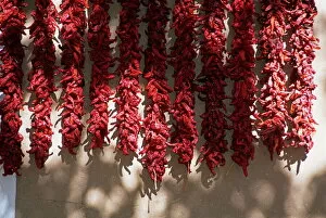 Images Dated 18th January 2000: Chili ristras