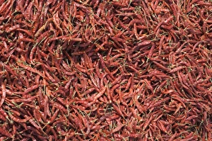 Food Stuff Prints: Chilli peppers