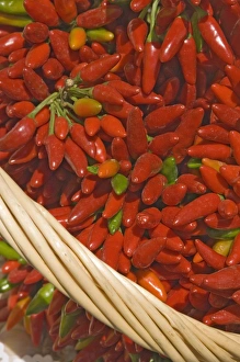 Chili Pepper Prints: Chillies