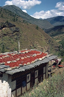 Chillies drying on the roof of a house in the hills in Bhutan, Asia
