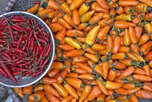 Images Dated 15th May 2008: Chillies, Sapa area, Vietnam, Indochina, Southeast Asia, Asia