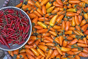 Images Dated 15th May 2008: Chillies, Sapa area, Vietnam, Indochina, Southeast Asia, Asia