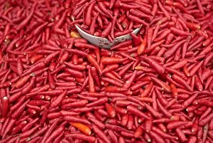 Images Dated 15th May 2008: Chillies at Sunday market at Bac Ha, Vietnam, Indochina, Southeast Asia, Asia