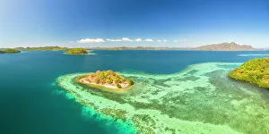 Lush Vegetation Prints: Chindonan Island, Calamian Islands, Coron, Palawan, Philippines, Southeast Asia, Asia