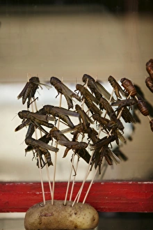Kebab Prints: Chinese food, crickets, Beijing, China, Asia