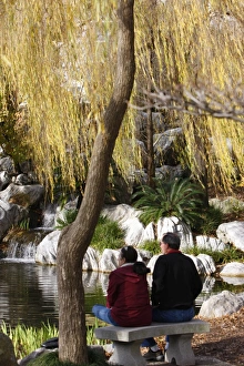 Images Dated 12th July 2008: Chinese Garden, Sydney, New South Wales, Australia, Pacific