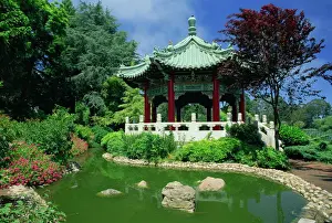 Gardens Prints: Chinese pavilion by a pond in the Golden Gate Park in San Francisco