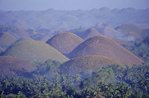 The Chocolate Hills of Bohol