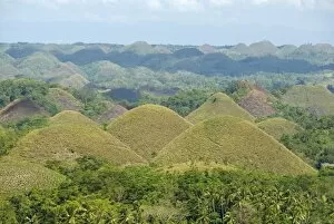 Images Dated 3rd March 2010: Chocolate Hills, conical hills in tropical limestone karst, Carmen, Bohol
