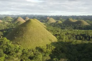 L Imestone Prints: Chocolate Hills, conical hills in tropical limestone karst, Carmen, Bohol