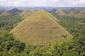 The Chocolate Hills, mounds of earth where grasses turn from green to brown during summer