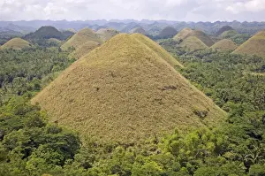 The Chocolate Hills, mounds of earth where grasses turn from green to brown during summer
