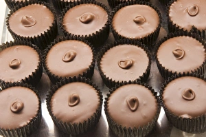 Images Dated 29th July 2009: Chocolates at the Ganong Chocolate factory, New Brunswick, Canada, North America