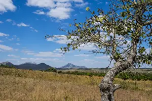 Malawi Prints: Chongoni Rock-Art Area, UNESCO World Heritage Site, Malawi, Africa