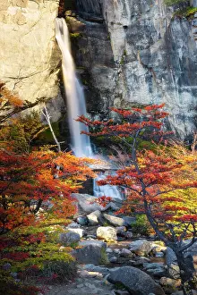 Patagonia Prints: Chorrillo del Salto waterfall framed by autumn trees
