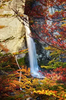 Falls Prints: Chorrillo del Salto waterfall framed by autumn trees