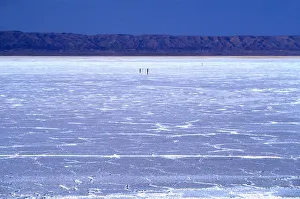 Salt Prints: Chott el-Djerid, Tozeur, Tunisia, North Africa, Africa