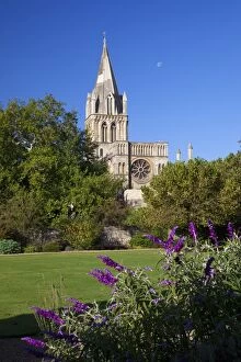 Images Dated 8th October 2009: Christ Church Cathedral, Oxford University, Oxford, Oxfordshire, England