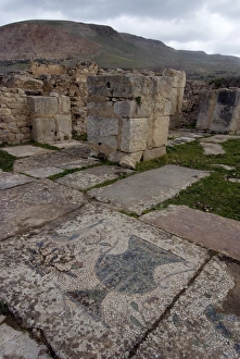 Images Dated 24th March 2008: Christian basilica, Roman ruin of Bulla Regia, Tunisia, North Africa, Africa