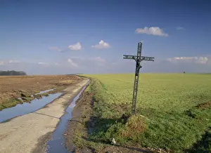 Dirt Track Prints: Christian calvary beside muddy track and fields in landscape near Agincourt