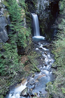 Christine Falls