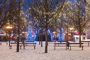 Images Dated 17th December 2009: Christmas decoration at Old Town Squares park at twilight, Stare Mesto, Prague, Czech Republic