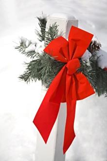 Collections: Christmas Wall Art & Decor Collection