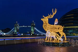 Tower Bridge Collection: Christmas decorations at More London Place with Tower Bridge in background, London, England