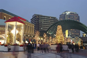 Jolly Prints: Christmas illuminations