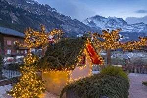 Christmas Decoration Prints: Christmas lights near Dorfstrasse in Wengen, Jungfrau region, Bernese Oberland, Swiss Alps