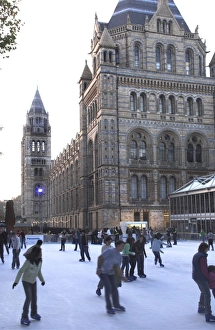 Christmas, Natural History Museum, Kensington, London, England, United Kingdom, Europe
