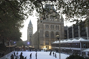Ice Rink Prints: Christmas, Natural History Museum, Kensington, London, England, United Kingdom, Europe