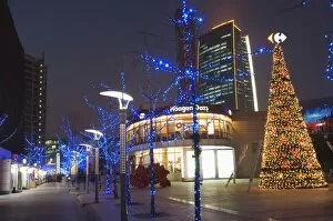 Christmas tree and decorations illuminated at night, Beijing, China, Asia