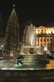 Trafalgar Square Prints: Christmas tree and fountains in Trafalgar Square at night, London, England