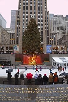 Images Dated 5th December 2009: Christmas tree in front of the Rockefeller Centre building on Fifth Avenue