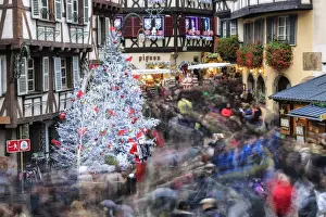 Christmas Tree Prints: Christmas tree and Santa Claus in the pedestrian roads of the old town, Colmar, Haut-Rhin